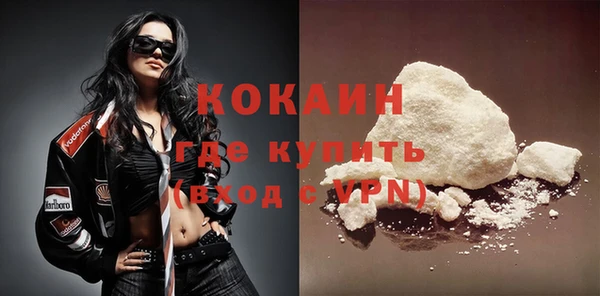 прущие грибы Верея