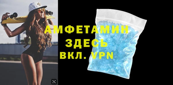 прущие грибы Верея