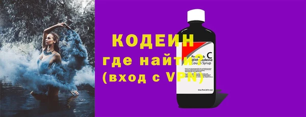 прущие грибы Верея