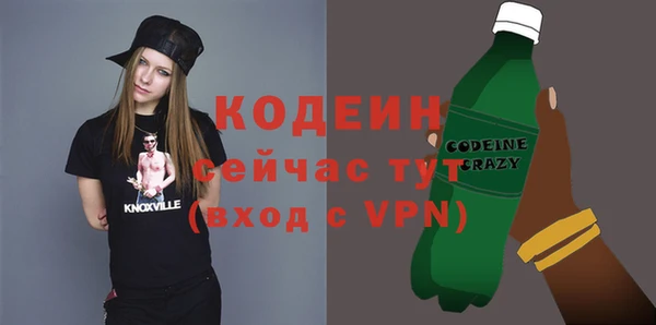 прущие грибы Верея