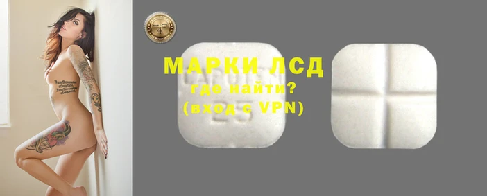 прущие грибы Верея