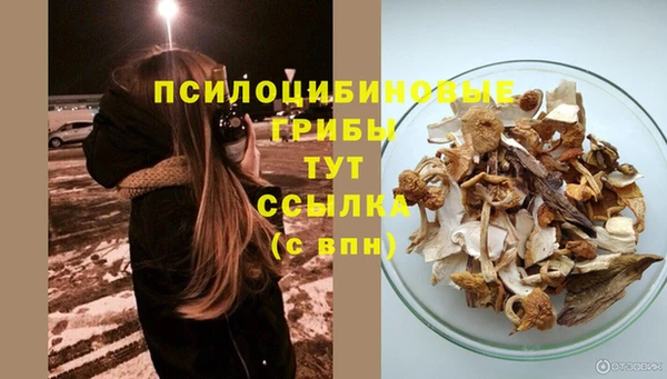 эйфоретик Сосновоборск