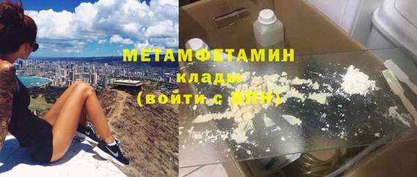 прущие грибы Верея