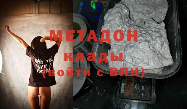 прущие грибы Верея