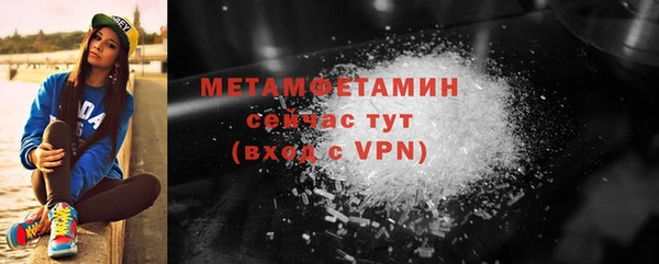 прущие грибы Верея