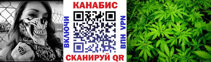Конопля SATIVA & INDICA  где найти наркотики  Кочубеевское 